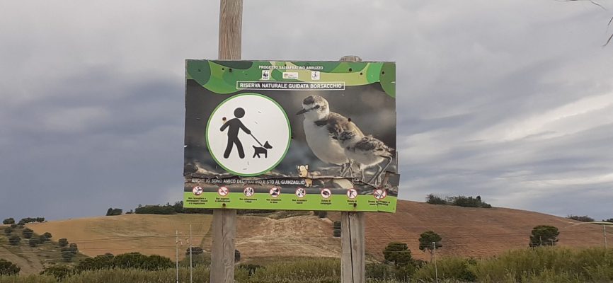 Riserva naturale Borsacchio